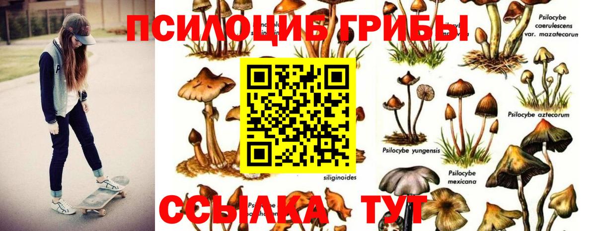 Псилоцибиновые грибы ЛСД  Вход с VPN  Ишим  закладка  Псилоцибиновые грибы мухоморы 