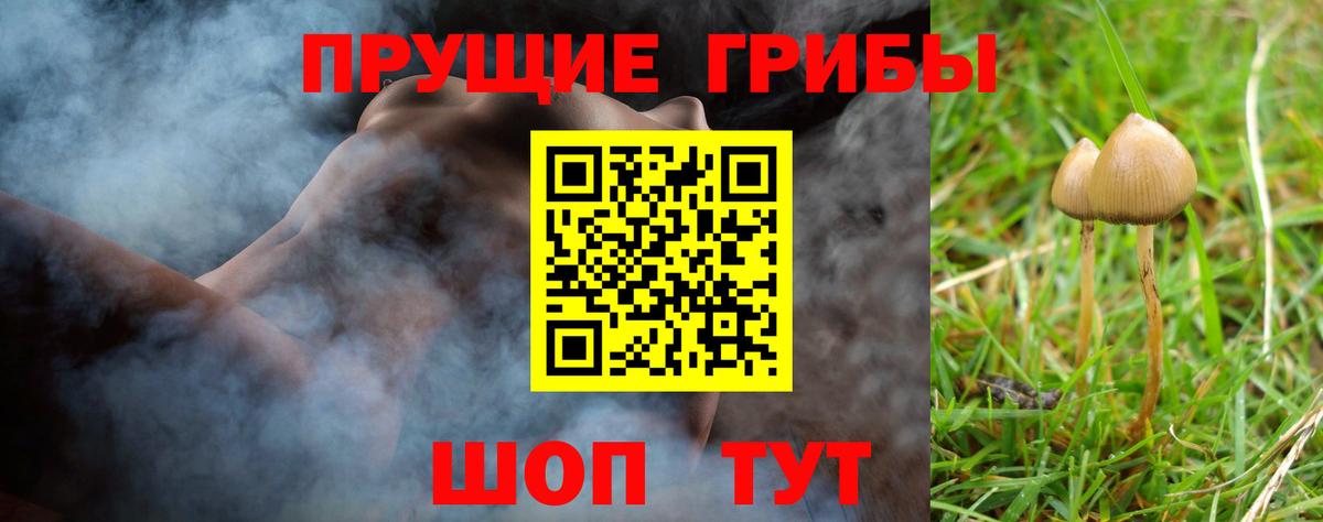 Галлюциногенные грибы GOLDEN TEACHER Ишим