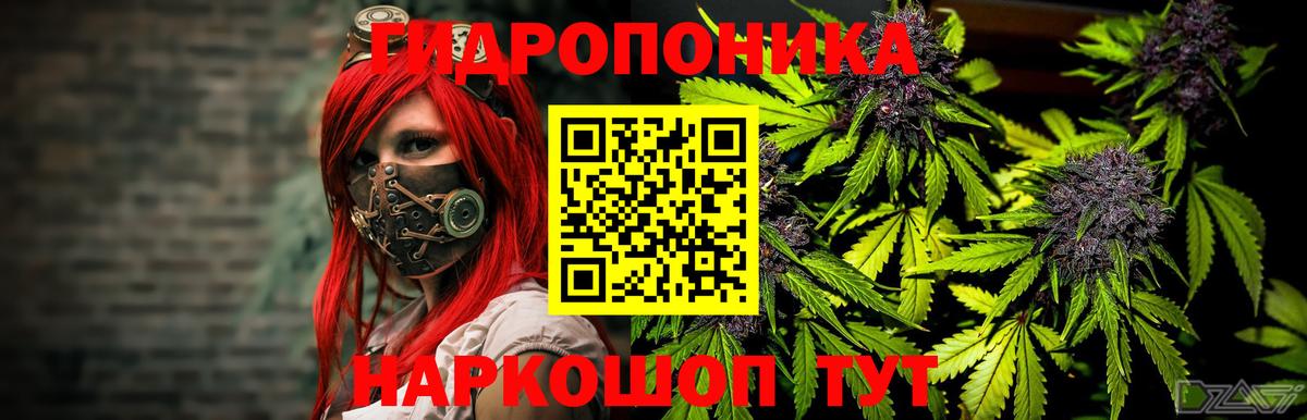 Бошки Шишки SATIVA & INDICA  Марихуана гибрид  Ишим  Вход с VPN  МАРИХУАНА OG Kush 